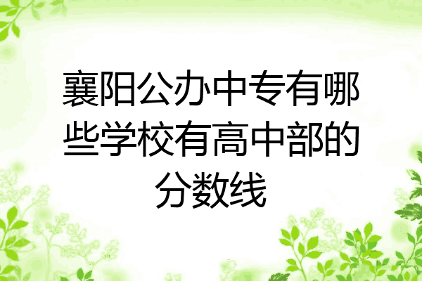 襄阳公办中专有哪些学校有高中部的分数线