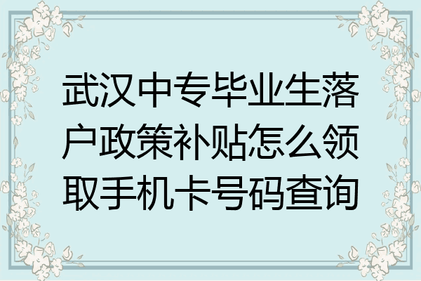 武汉中专毕业生落户政策补贴怎么领取手机卡号码查询
