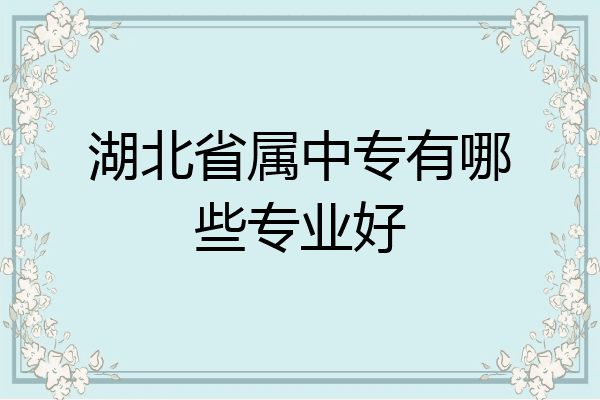湖北省属中专有哪些专业好