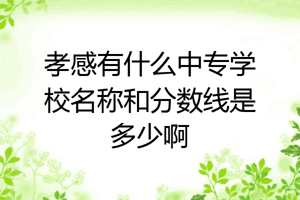 孝感有什么中专学校名称和分数线是多少啊
