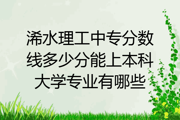 浠水理工中专分数线多少分能上本科大学专业有哪些