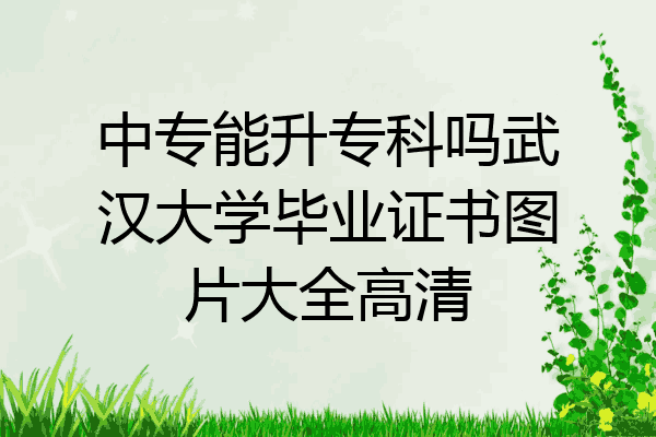 中专能升专科吗武汉大学毕业证书图片大全高清
