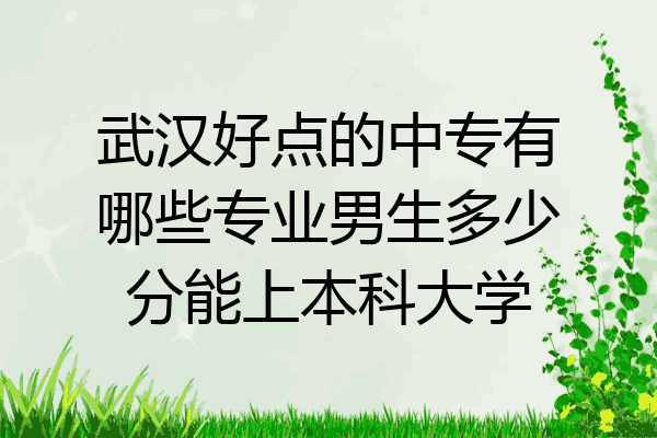 武汉好点的中专有哪些专业男生多少分能上本科大学