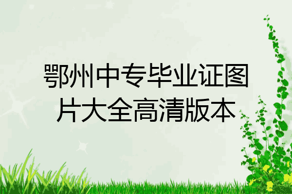鄂州中专毕业证图片大全高清版本