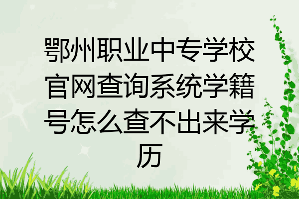 鄂州职业中专学校官网查询系统学籍号怎么查不出来学历