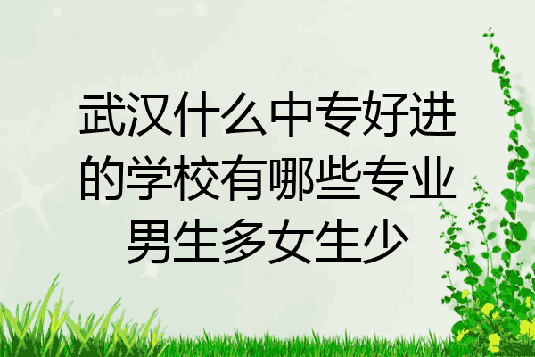 武汉什么中专好进的学校有哪些专业男生多女生少