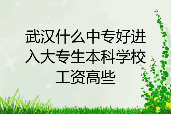 武汉什么中专好进入大专生本科学校工资高些