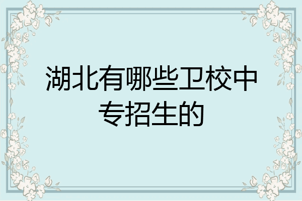 湖北有哪些卫校中专招生的