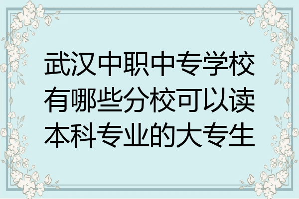 武汉中职中专学校有哪些分校可以读本科专业的大专生