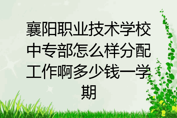 襄阳职业技术学校中专部怎么样分配工作啊多少钱一学期