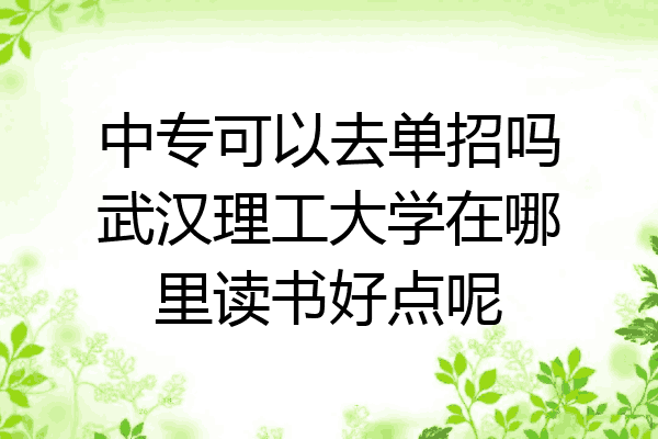 中专可以去单招吗武汉理工大学在哪里读书好点呢