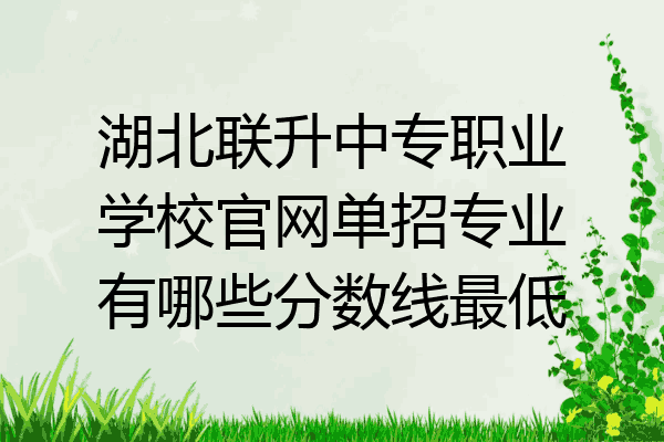湖北联升中专职业学校官网单招专业有哪些分数线最低