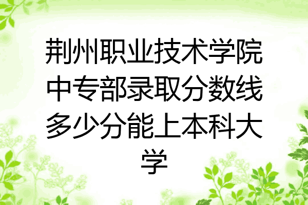 荆州职业技术学院中专部录取分数线多少分能上本科大学