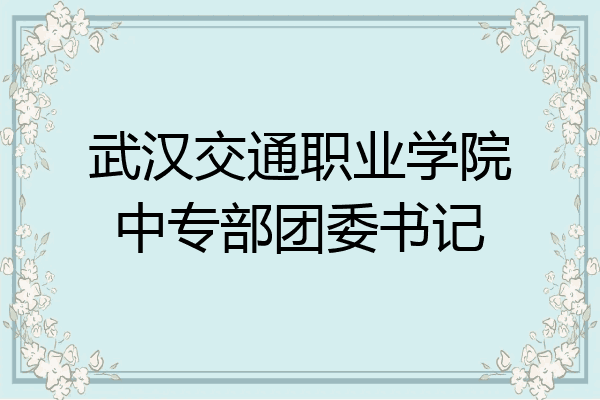 武汉交通职业学院中专部团委书记