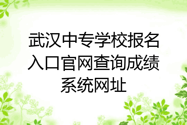 武汉中专学校报名入口官网查询成绩系统网址