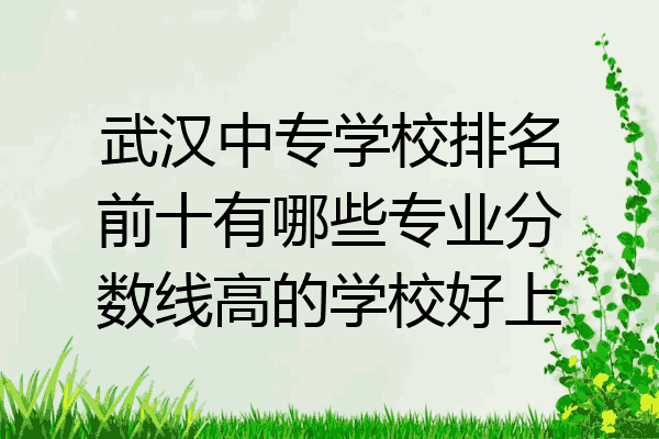 武汉中专学校排名前十有哪些专业分数线高的学校好上
