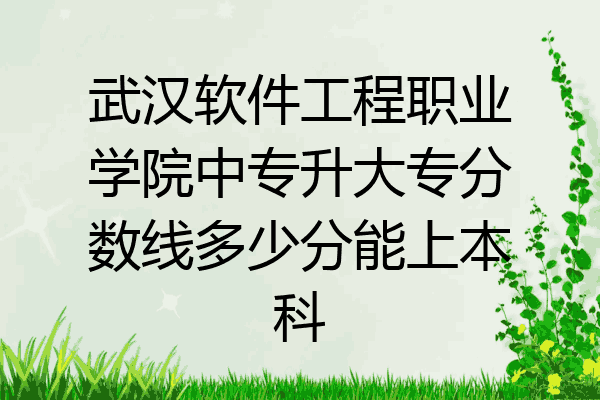 武汉软件工程职业学院中专升大专分数线多少分能上本科