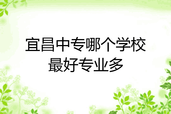 宜昌中专哪个学校最好专业多
