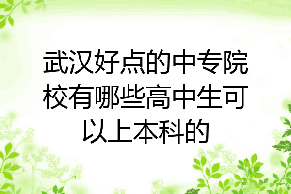 武汉好点的中专院校有哪些高中生可以上本科的
