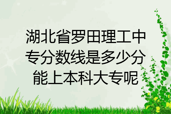 湖北省罗田理工中专分数线是多少分能上本科大专呢