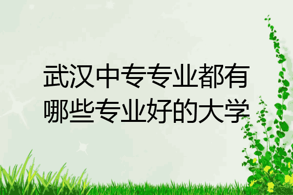 武汉中专专业都有哪些专业好的大学