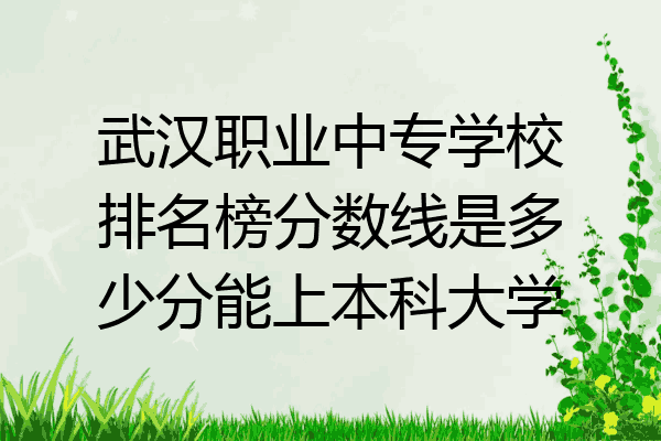 武汉职业中专学校排名榜分数线是多少分能上本科大学