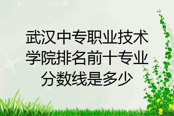 武汉中专职业技术学院排名前十专业分数线是多少