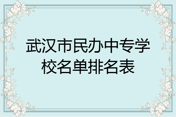 武汉市民办中专学校名单排名表