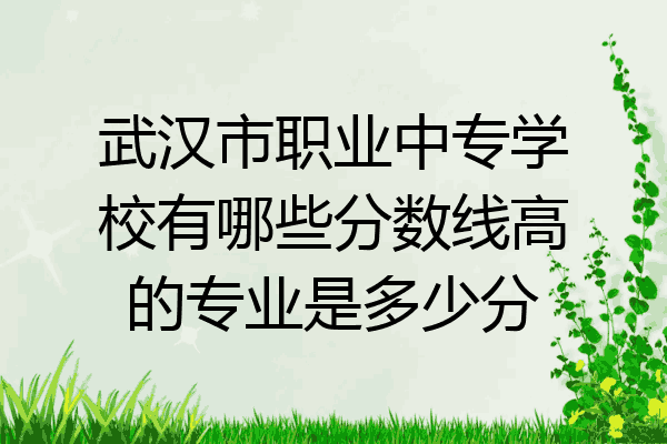 武汉市职业中专学校有哪些分数线高的专业是多少分