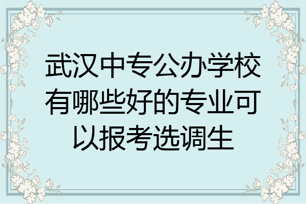 武汉中专公办学校有哪些好的专业可以报考选调生