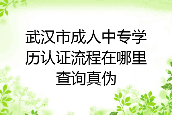 武汉市成人中专学历认证流程在哪里查询真伪