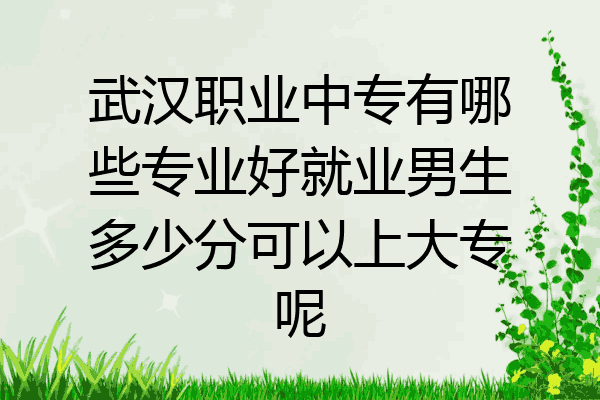 武汉职业中专有哪些专业好就业男生多少分可以上大专呢