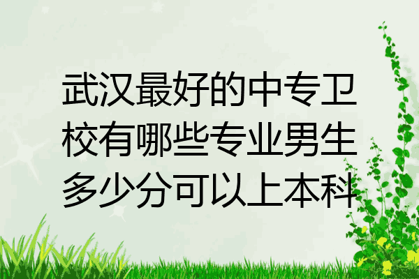 武汉最好的中专卫校有哪些专业男生多少分可以上本科