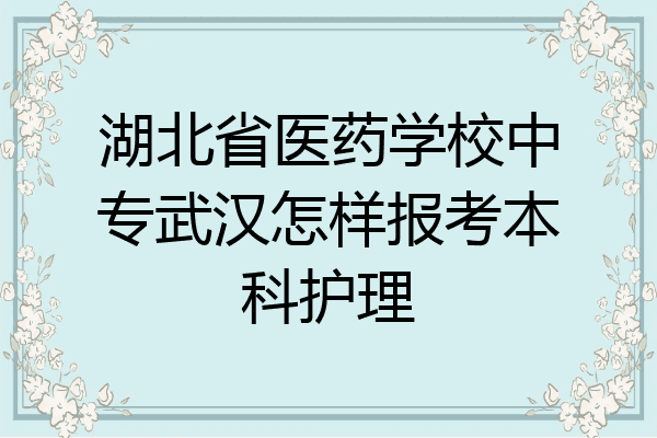 湖北省医药学校中专武汉怎样报考本科护理