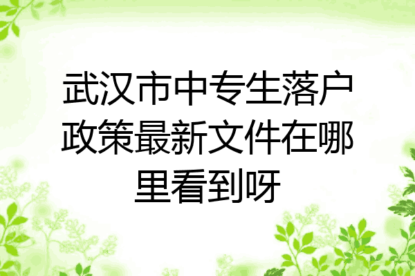 武汉市中专生落户政策最新文件在哪里看到呀