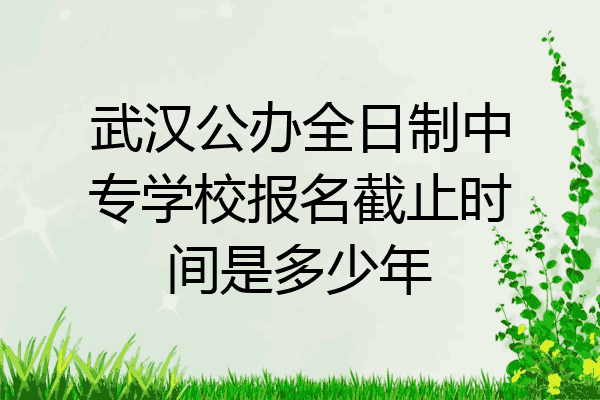 武汉公办全日制中专学校报名截止时间是多少年