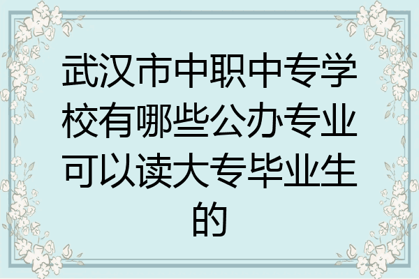 武汉市中职中专学校有哪些公办专业可以读大专毕业生的