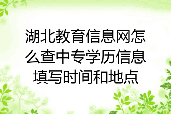 湖北教育信息网怎么查中专学历信息填写时间和地点