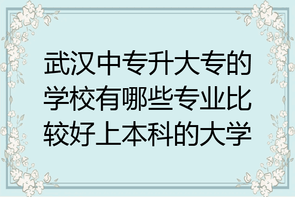 武汉中专升大专的学校有哪些专业比较好上本科的大学