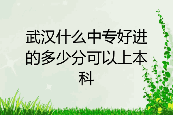 武汉什么中专好进的多少分可以上本科