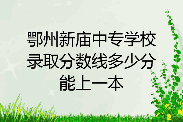 鄂州新庙中专学校录取分数线多少分能上一本