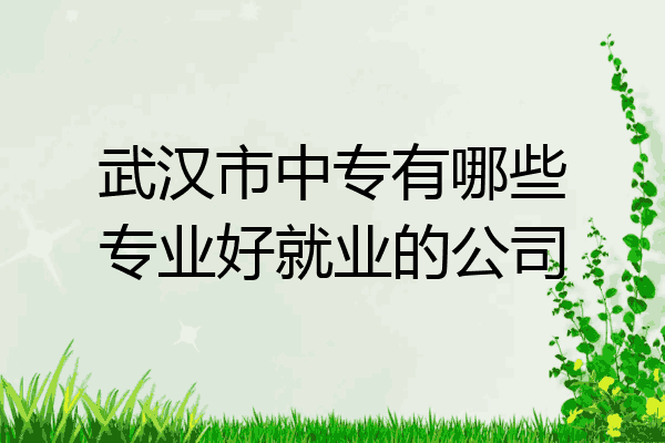 武汉市中专有哪些专业好就业的公司