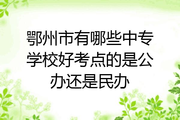 鄂州市有哪些中专学校好考点的是公办还是民办