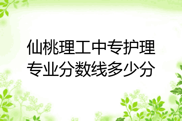 仙桃理工中专护理专业分数线多少分