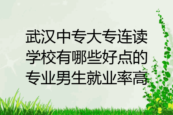 武汉中专大专连读学校有哪些好点的专业男生就业率高