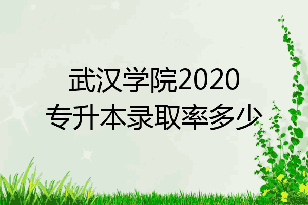 武汉学院2020专升本录取率多少