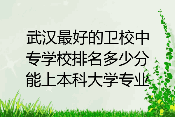 武汉最好的卫校中专学校排名多少分能上本科大学专业