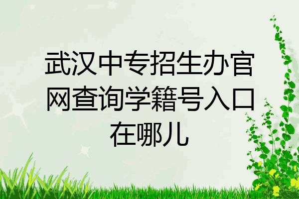 武汉中专招生办官网查询学籍号入口在哪儿