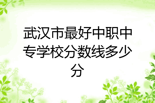 武汉市最好中职中专学校分数线多少分