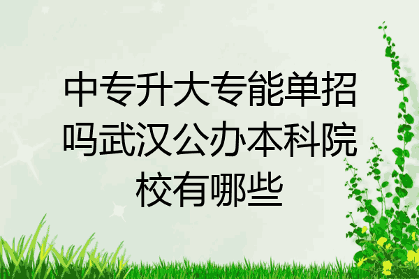 中专升大专能单招吗武汉公办本科院校有哪些
